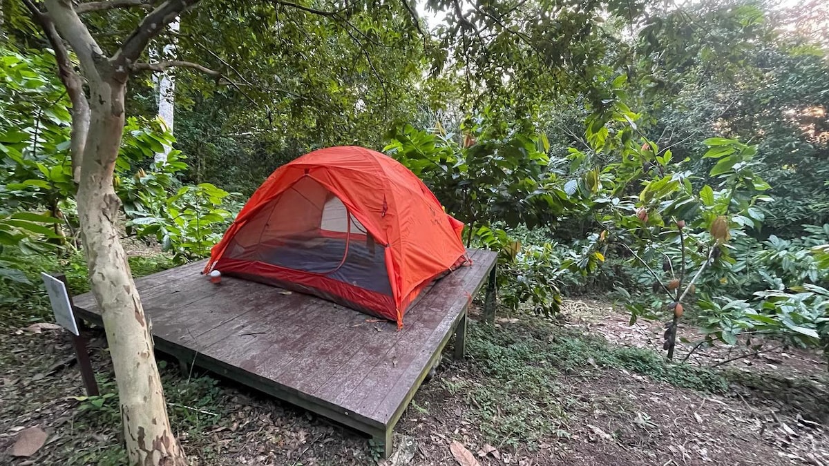 Camping Las Marias Cacao Forrest