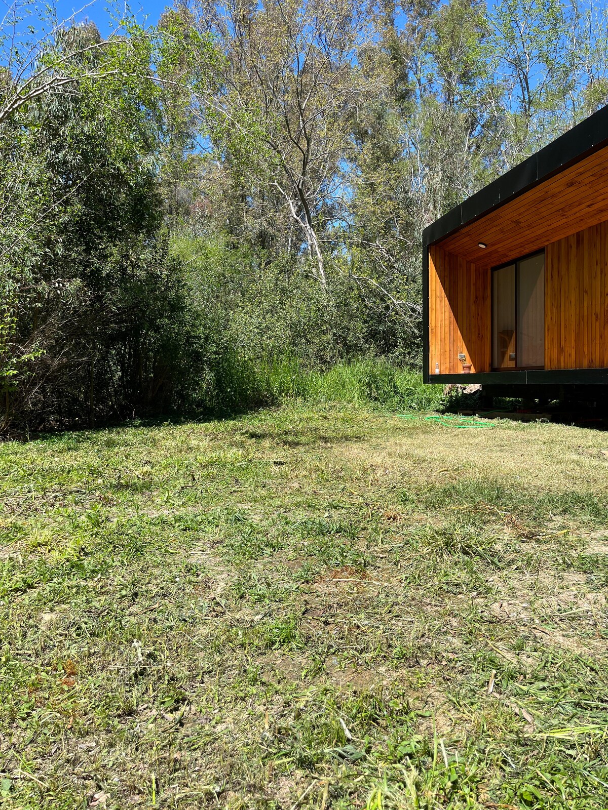 Shared house in the forest