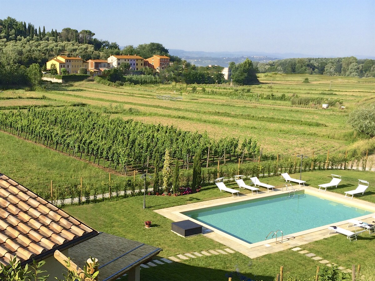 农舍，泳池， 13人， Lucca 10公里