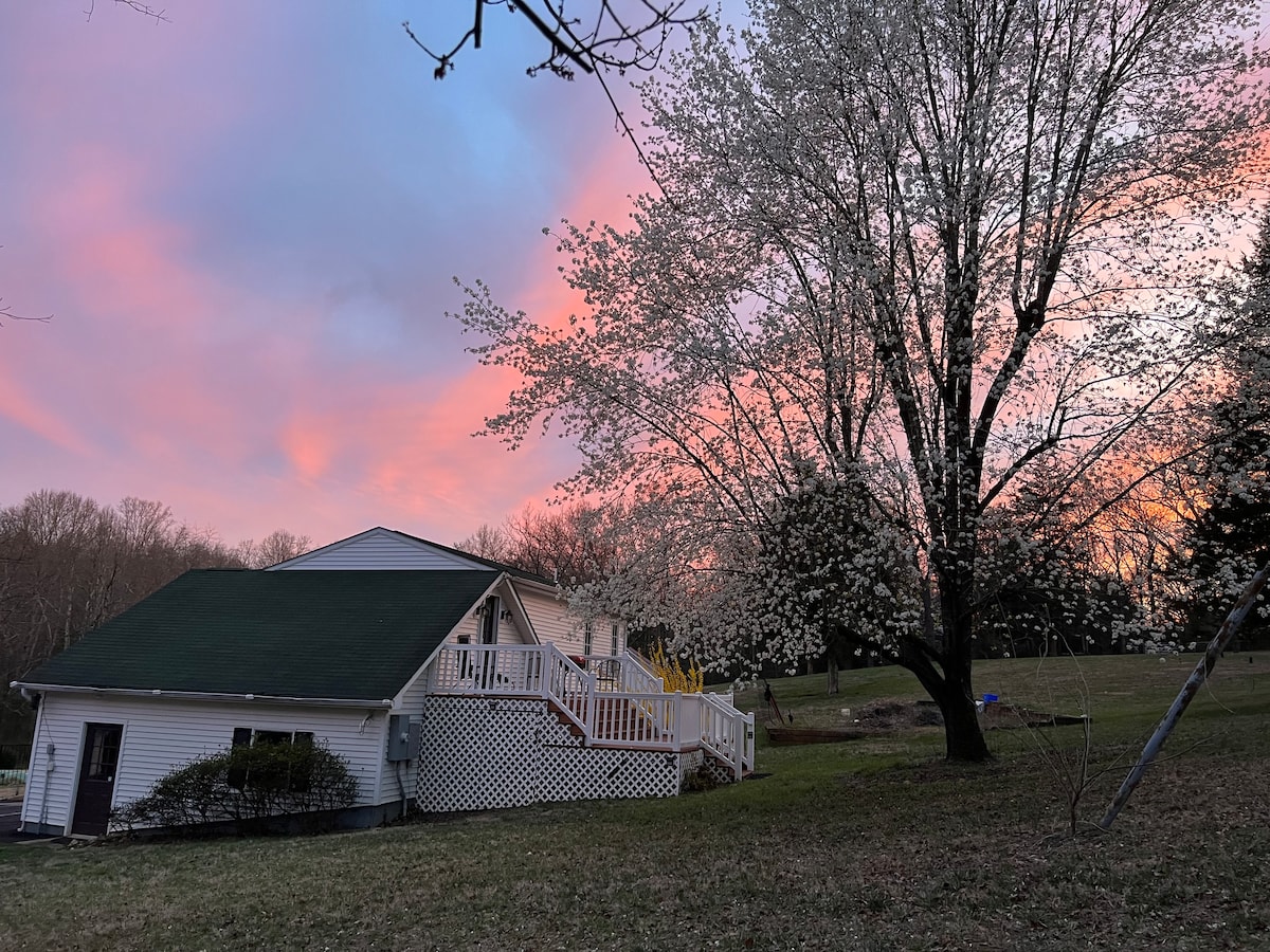 The Apartment at Dark Run Retreat