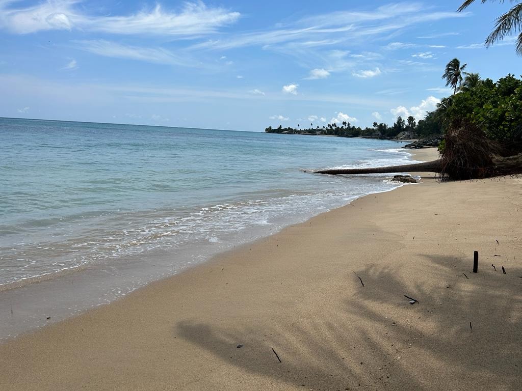 Garden Level (A104) Beach Access Apartment