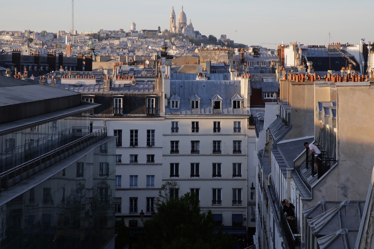 俯瞰巴黎的屋顶