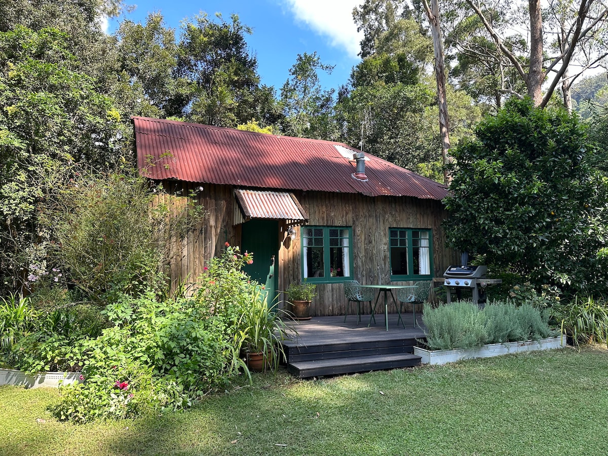 Jamberoo雨林中的瀑布小屋