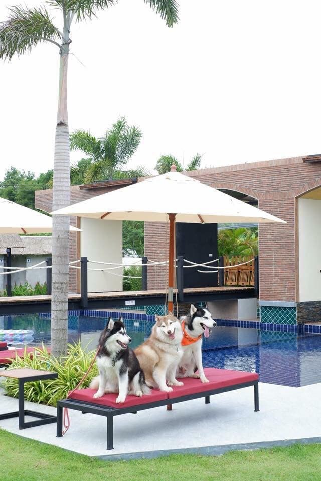 芭堤雅塔拉度假村（ Tamara Resort Resort Pattaya ）。