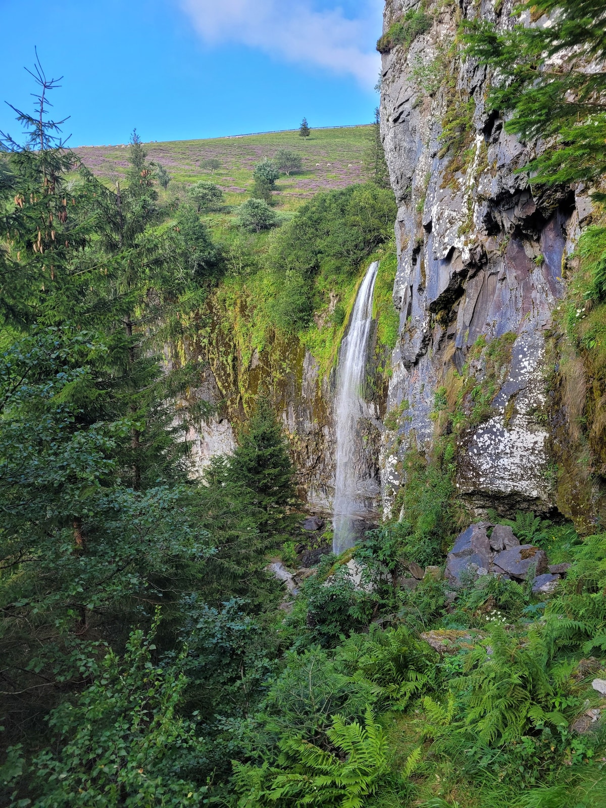 Meublé de Tourisme 4 *
Campagne