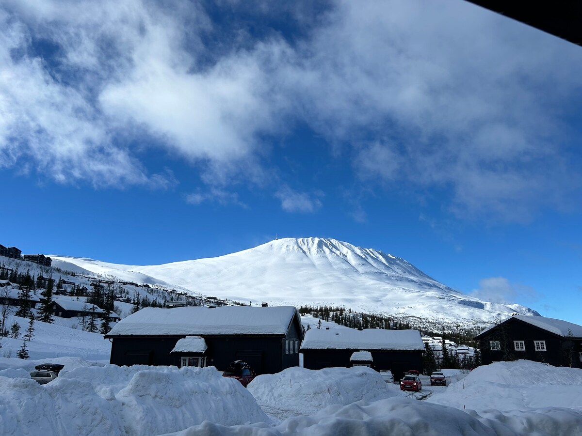 Utsikt Gaustatoppen. Ski inn-out. Solrik uteplass.