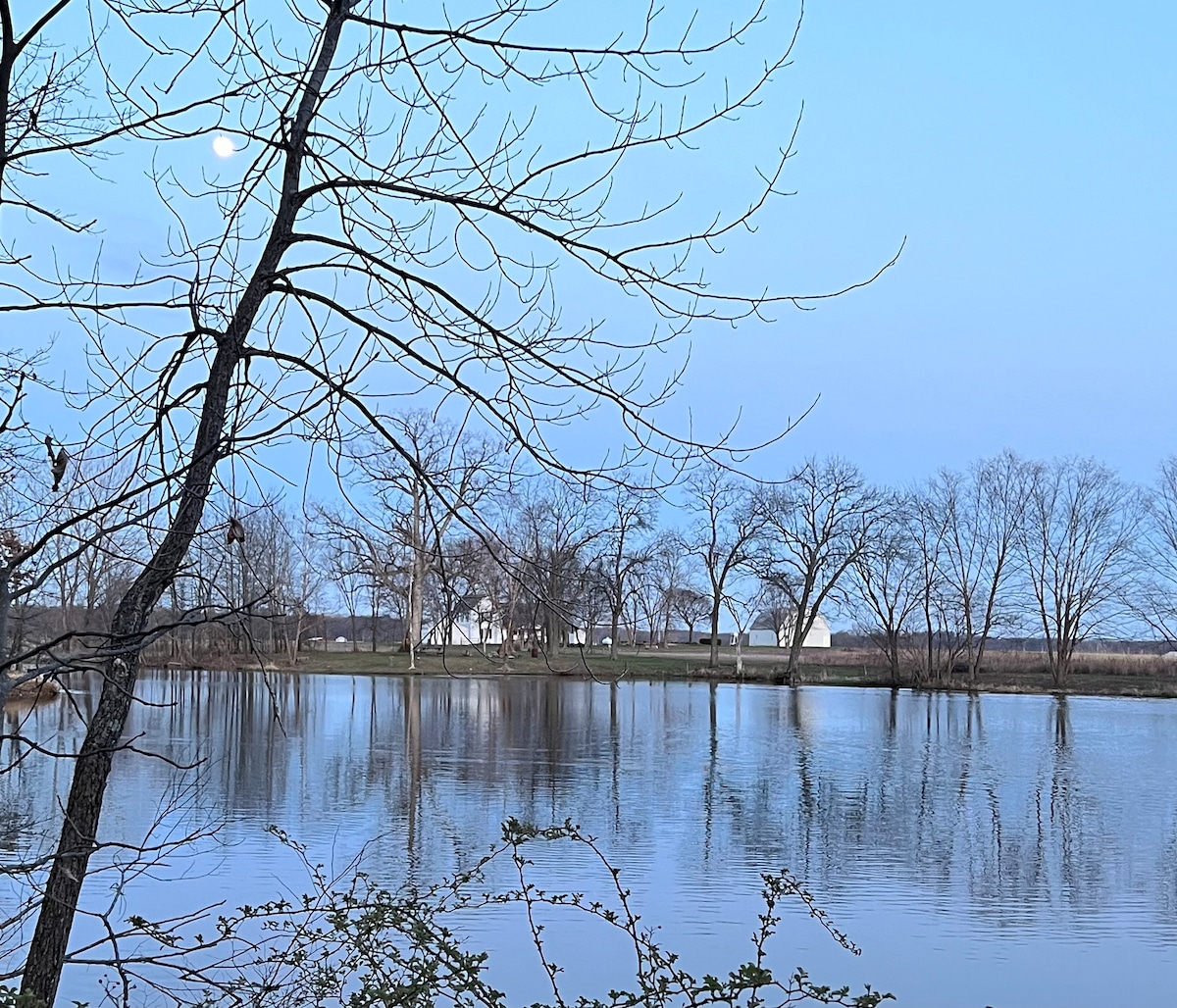 Updated Farmhouse with private pond