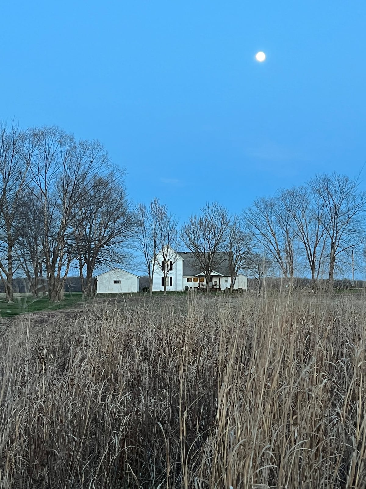 Updated Farmhouse with private pond