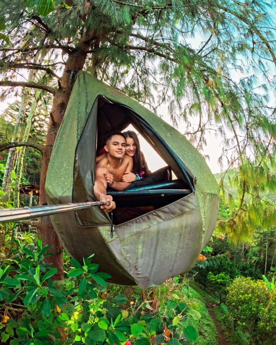 Carpa colgante en medio de la naturaleza