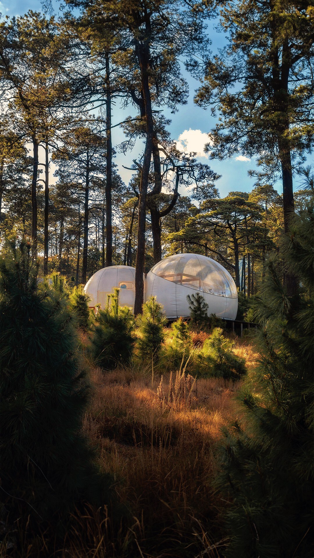 Alpino Bubble Glamping - Hotel Burbuja en CDMX