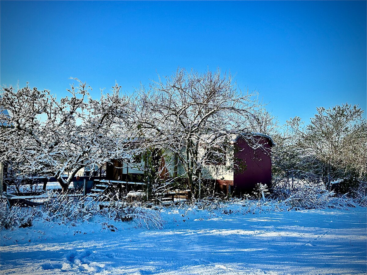 Captains Lodge * Romantik Hideaway * vegan