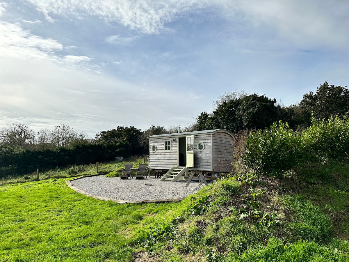 Private shepherd's hut + log burner, pets welcome