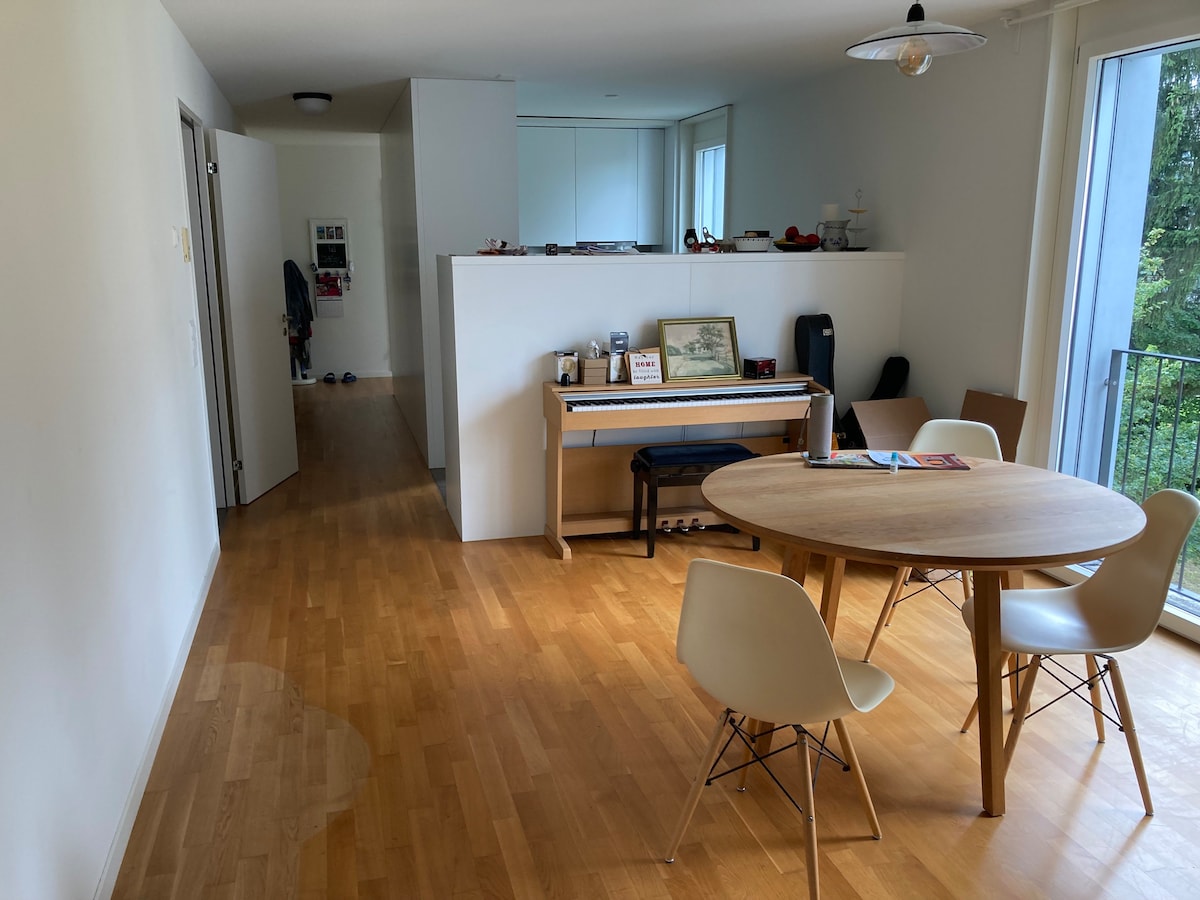 Modern 3-Bedroom Oasis in the Heart of Zürich