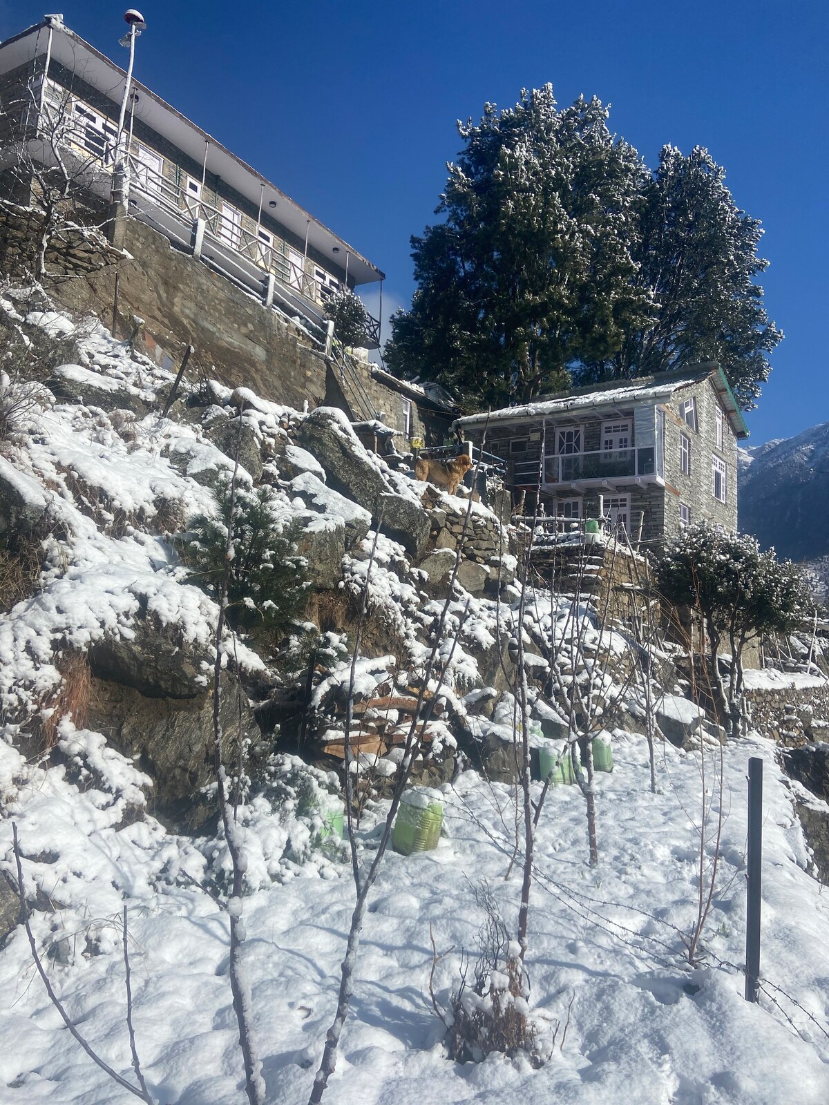 Raldang Himalayan home& farmstay(mud house)