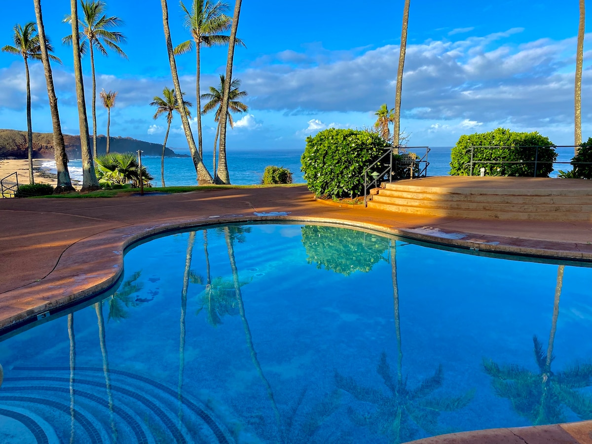 令人惊叹的海洋景观夏威夷公寓
