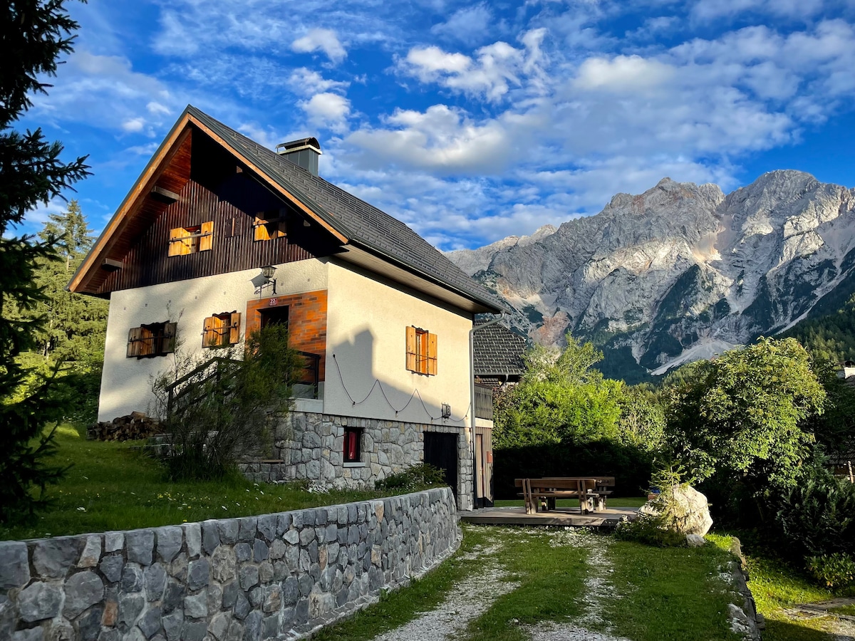 The cozy mountain chalet