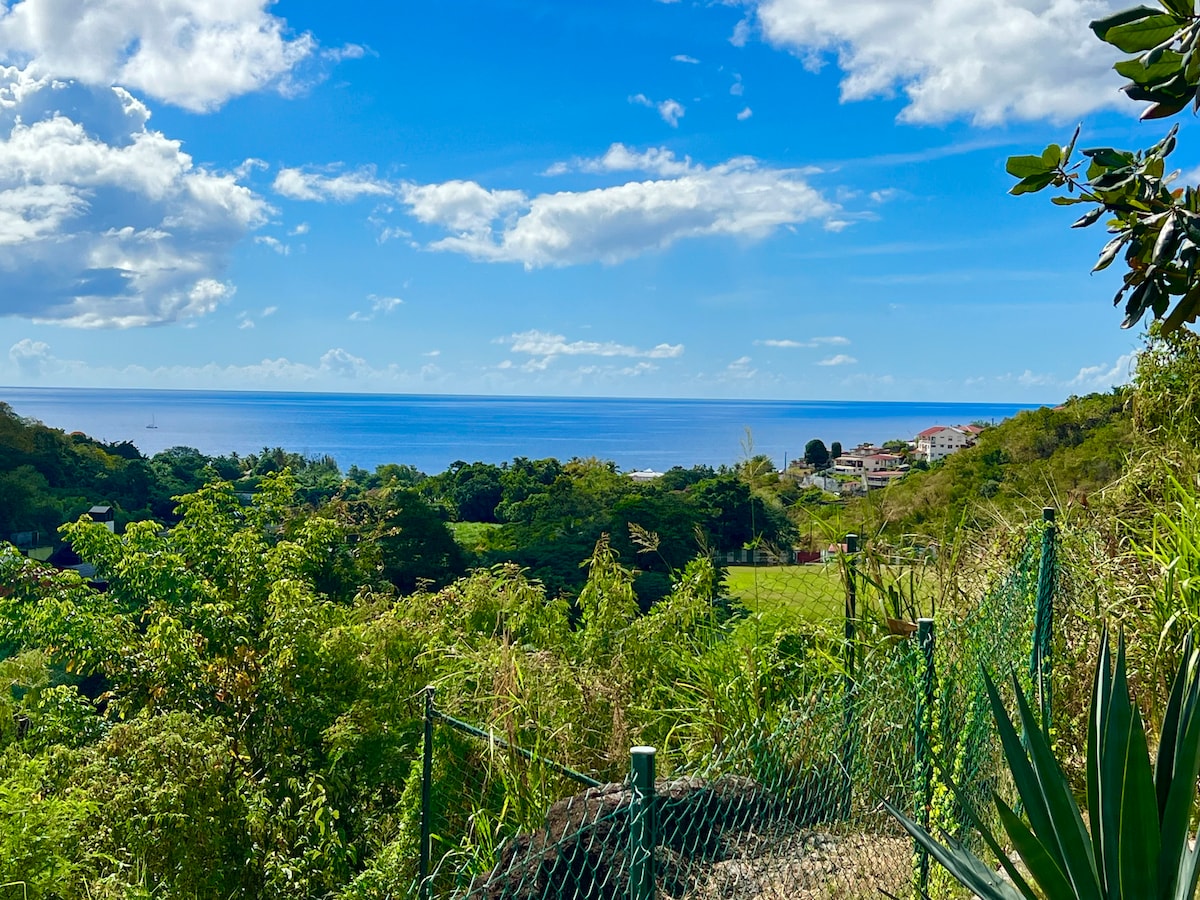 宽敞的公寓，可欣赏海景，花园，距离海滩1公里