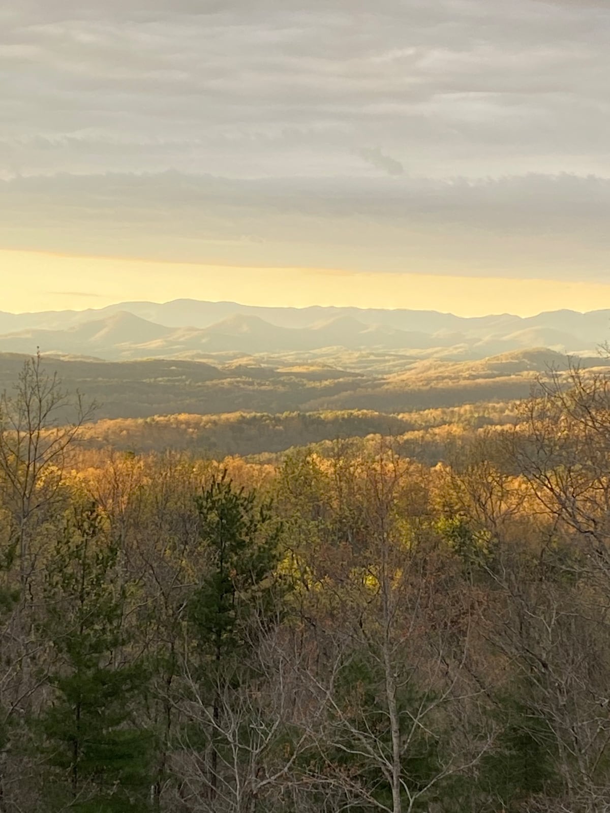 Heaven’s Ridge Cabin 2/2/hot tub /amazing views