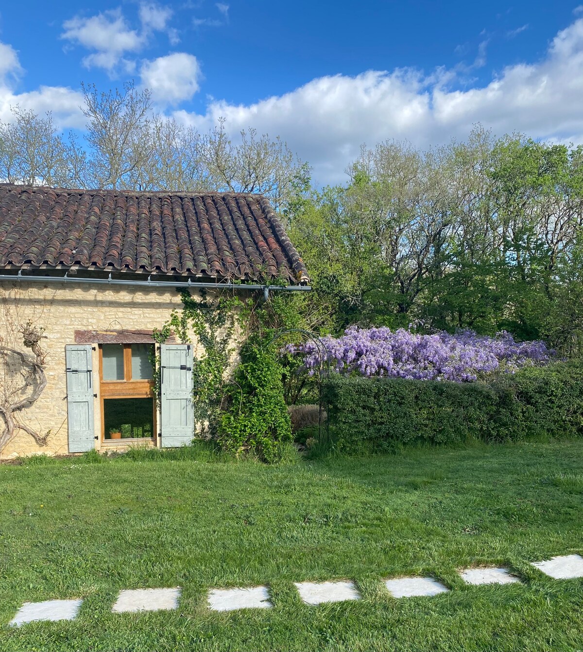 Cheerful one bedroom gîte near Cahors with pool