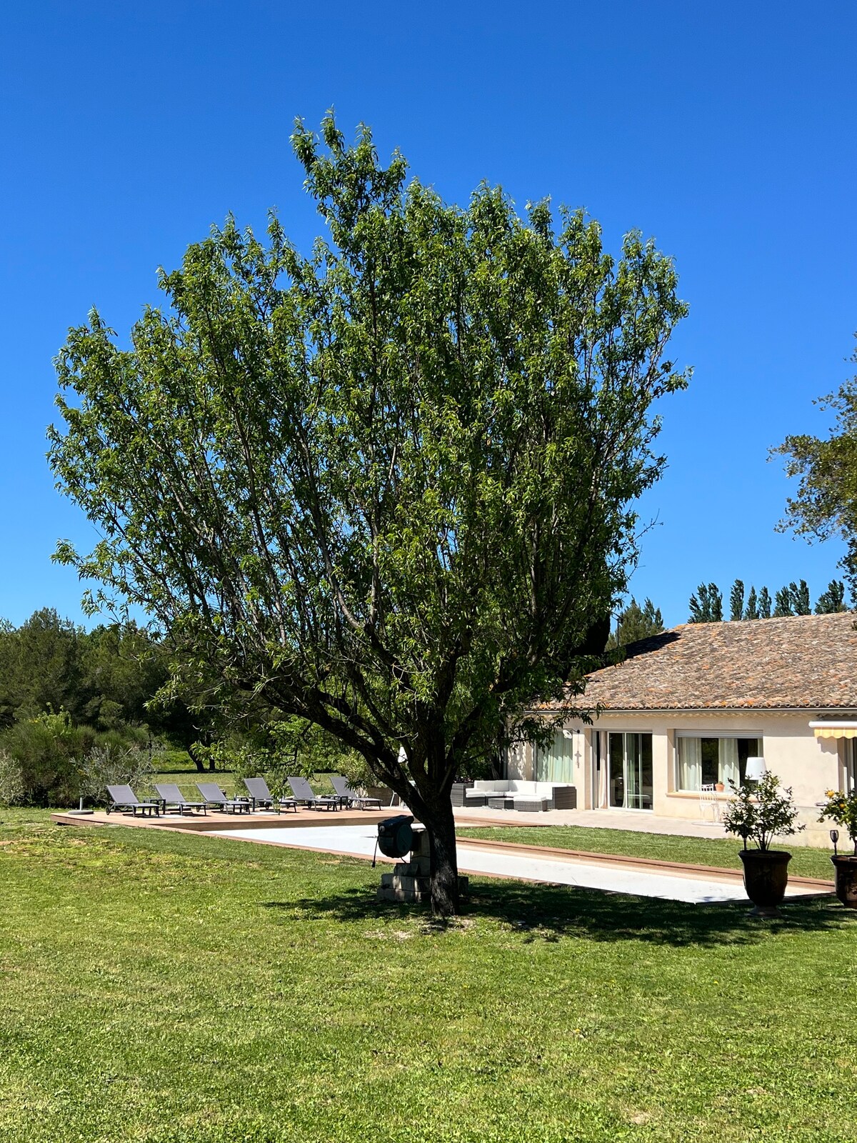 Mas en Provence du XVII  Siècle dans les Alpilles