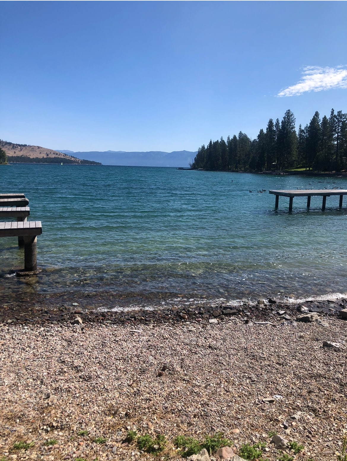 2 homes on Flathead Lake