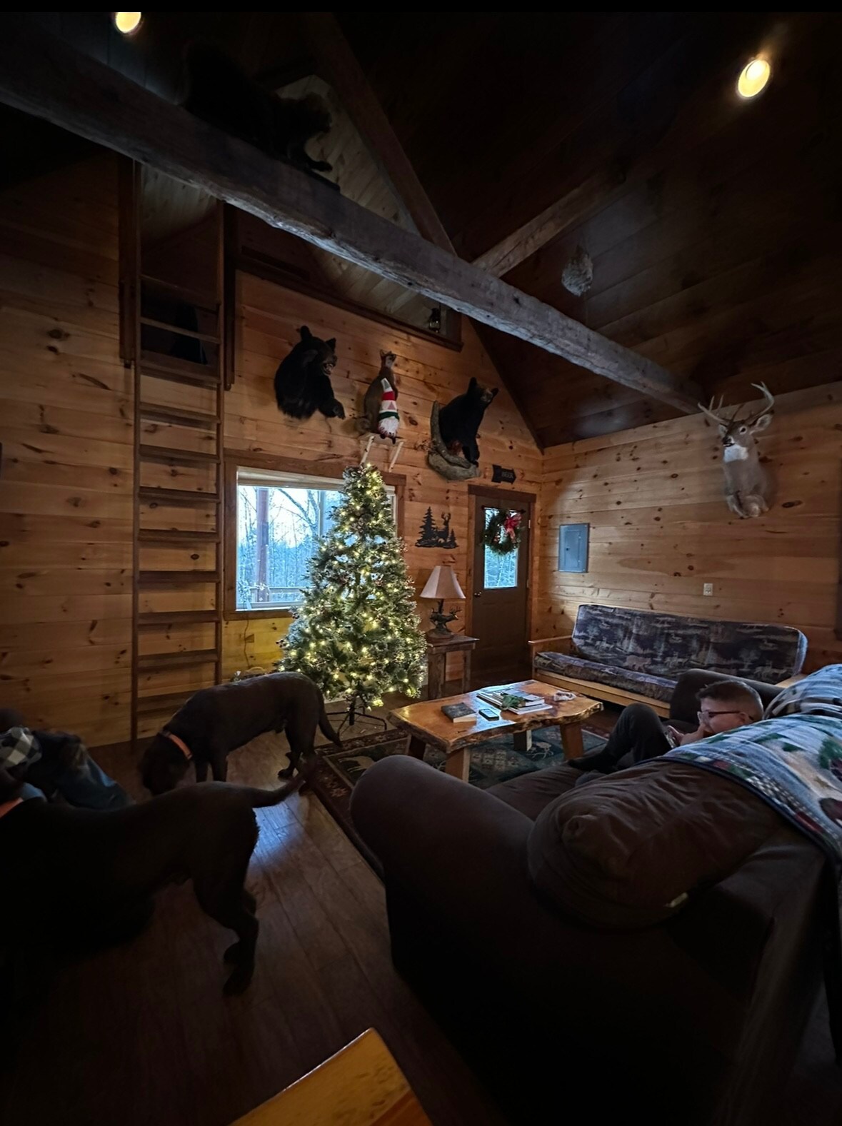 Modern comfortable three bedroom cabin