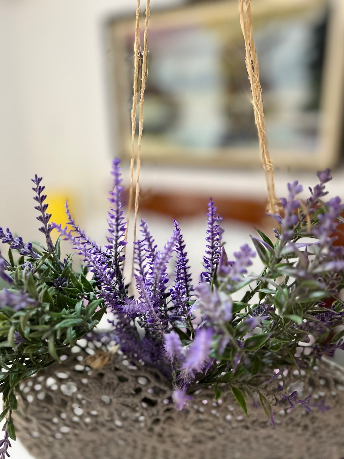 Suíte Lavanda Cama & Café - Centro,Mal.Floriano/ES