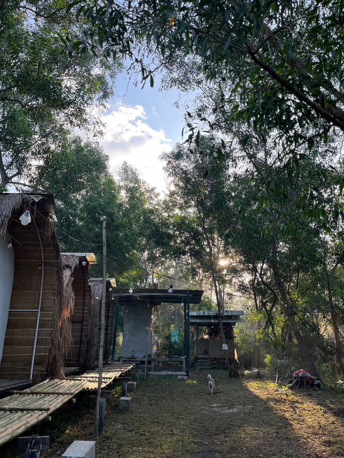 The Purple Shack by Honu Lodge