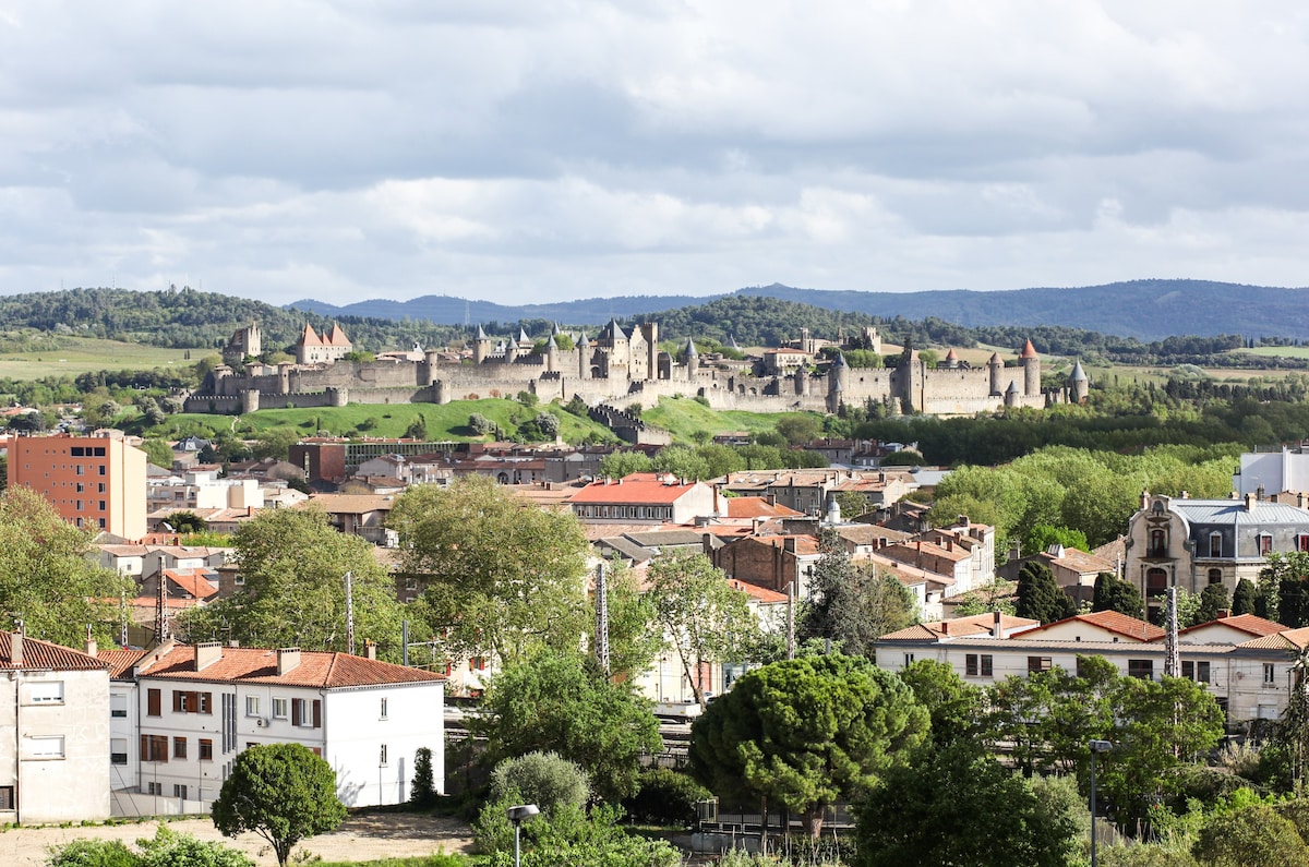 *可欣赏卡尔卡松城（ Cité de Carcassonne ）景观的单间公寓*