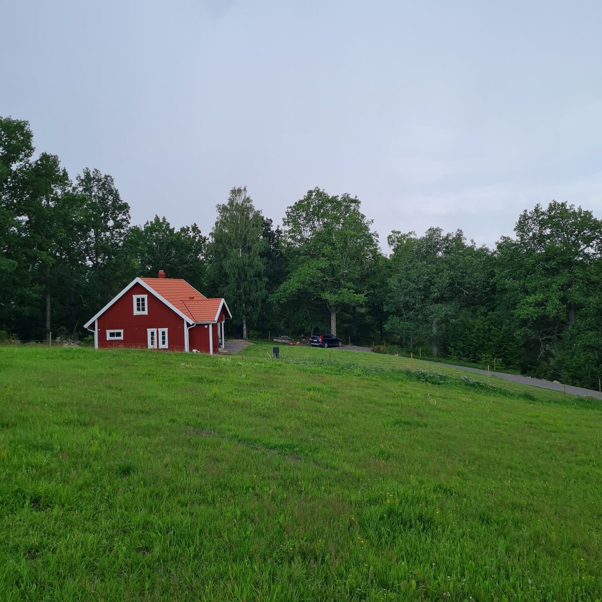 Nybyggt hus nära naturen