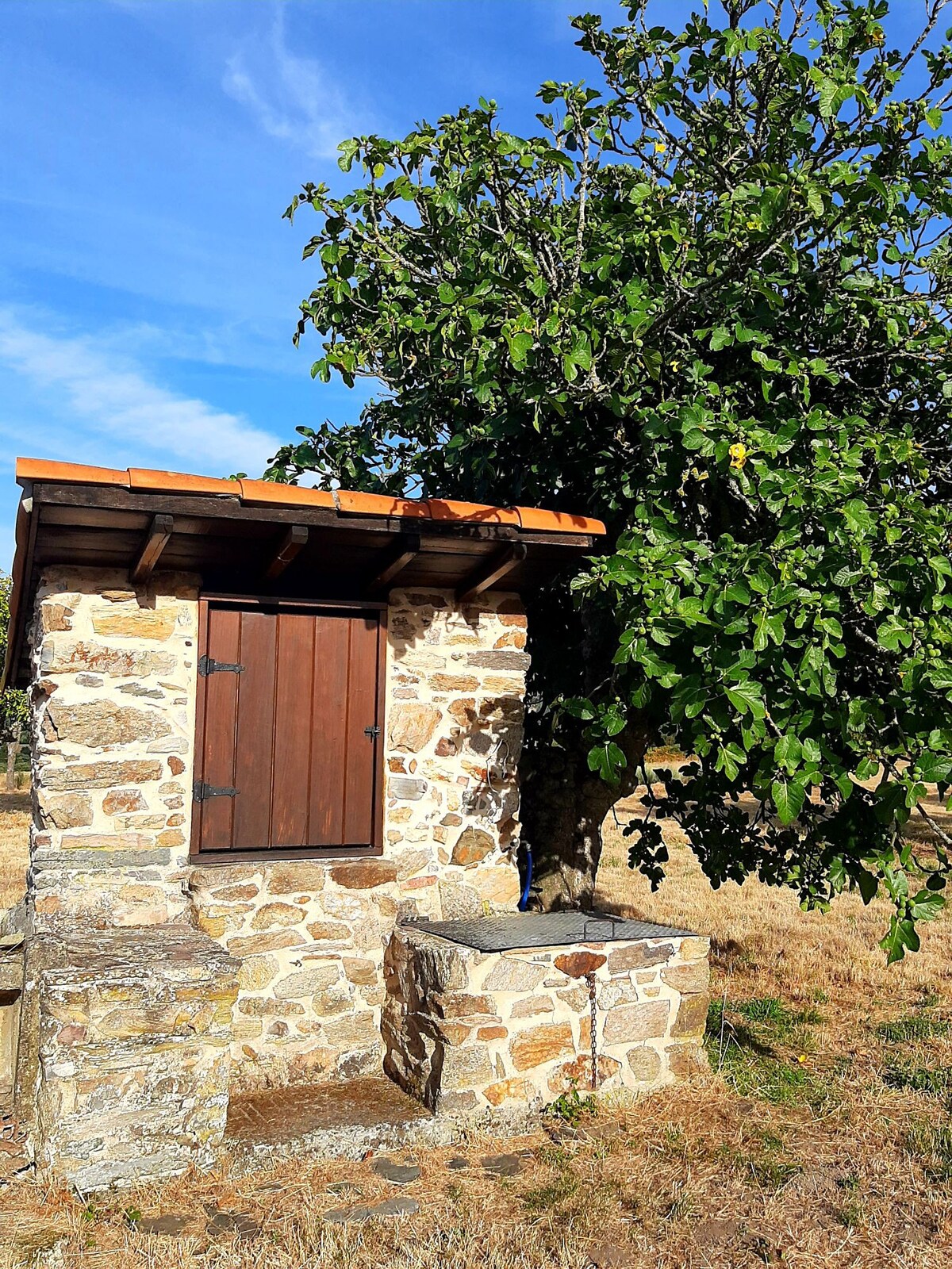 Casa en A Estrada.