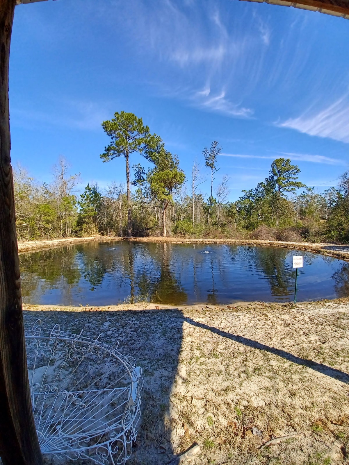 Peaceful Pines