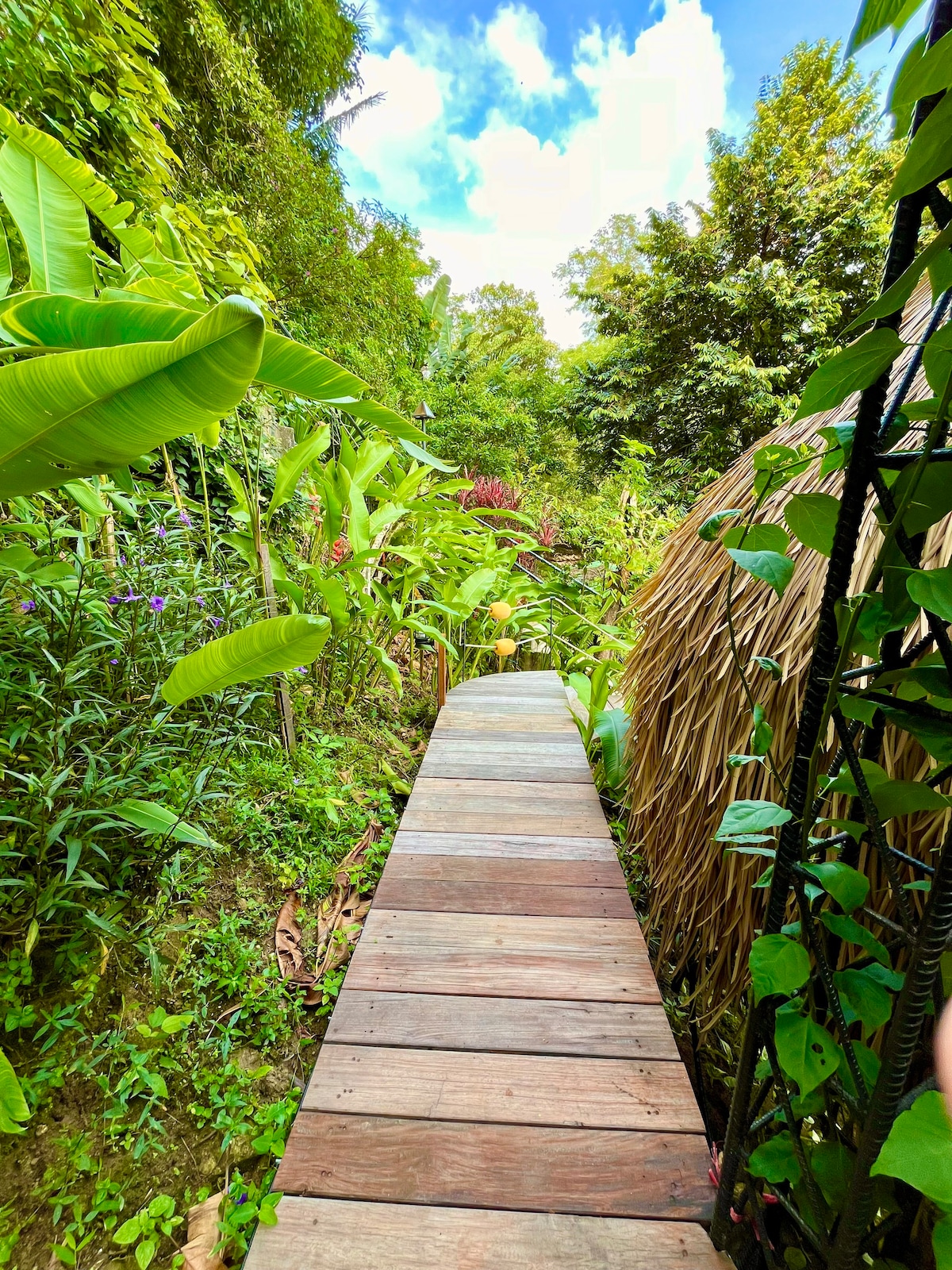 布吉岛蓝港（ Blue Harbour Nest Phuket ） 2