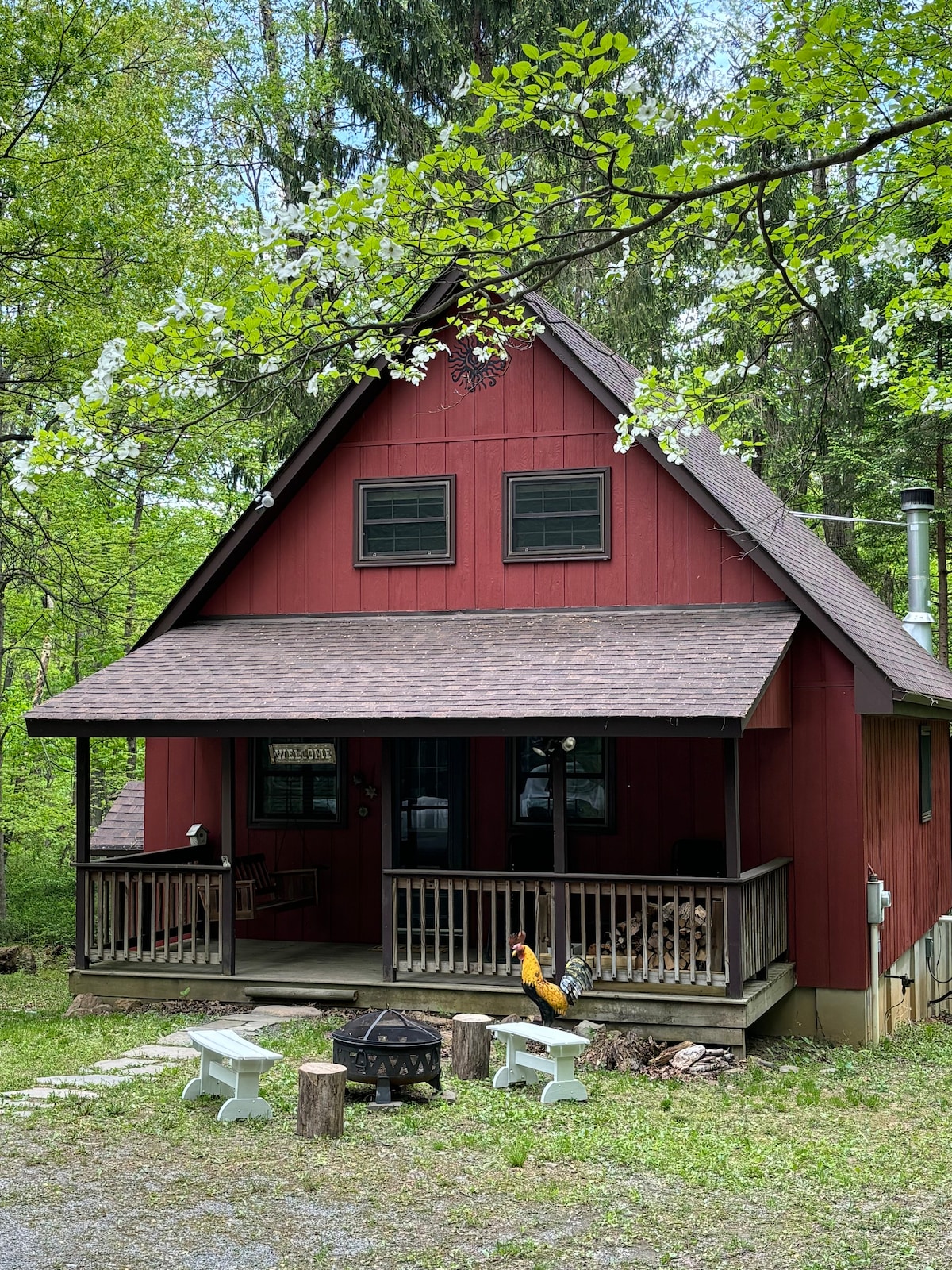 “Little Red Cabin” in the woods