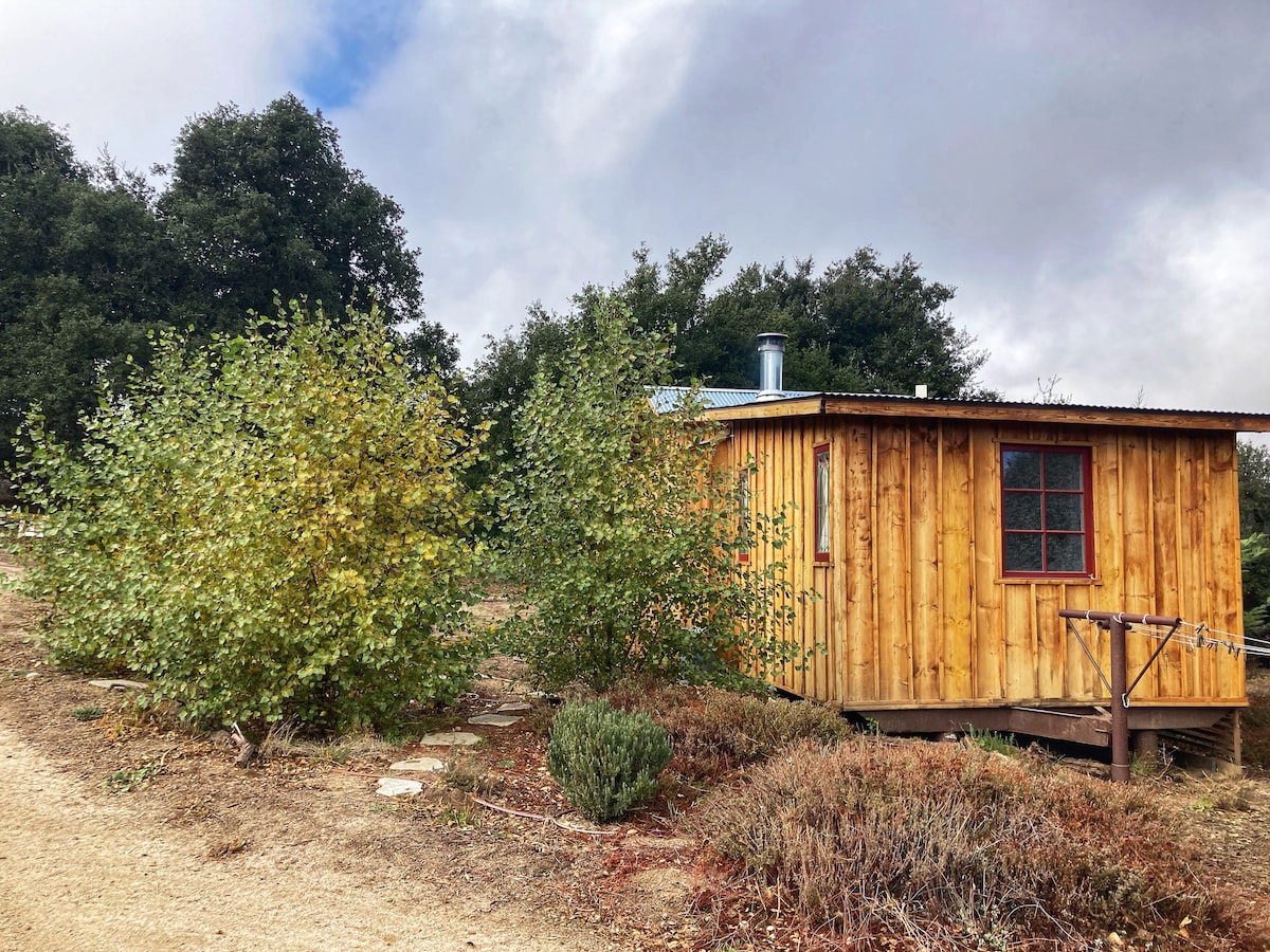 The Little House in the Oaks