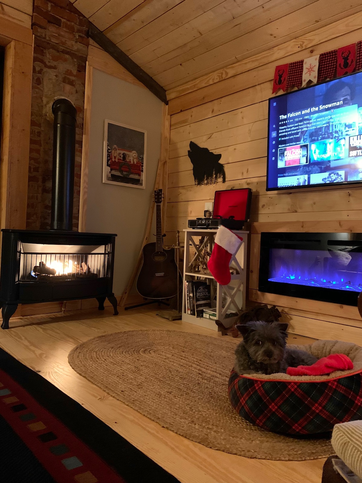 Overlook Cabin. Pet Friendly. Near DT, Casino