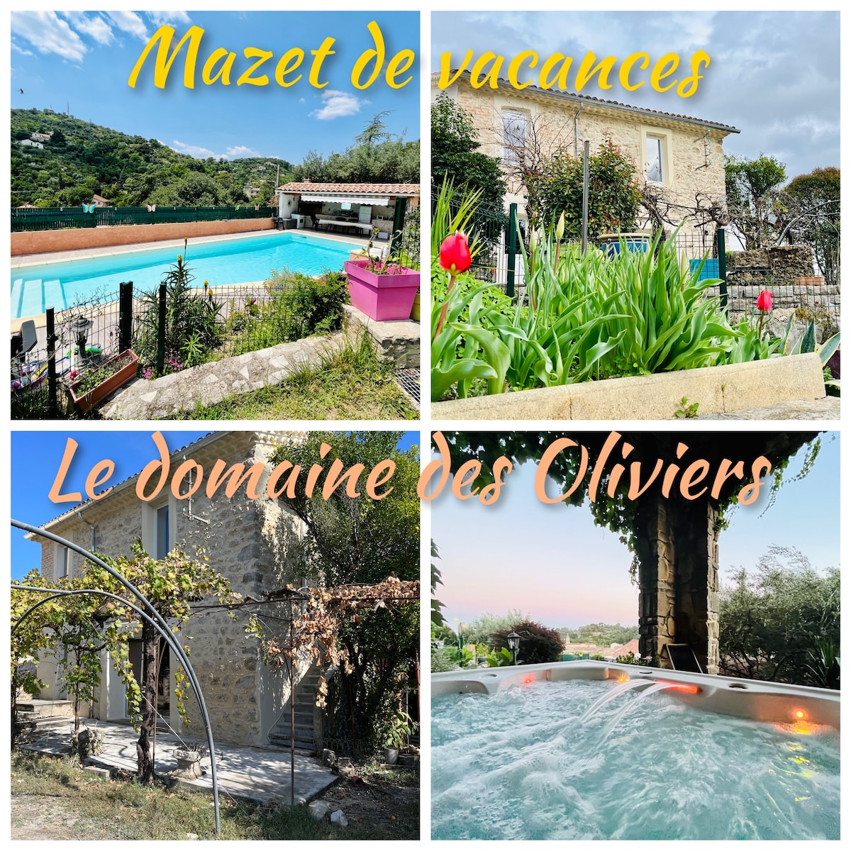 Domaine des Oliviers-Maison-Piscine-SPA-Sauna-Clim