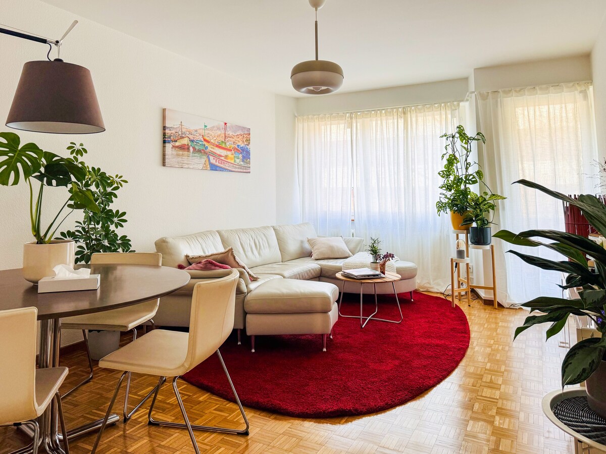 莱茵河的4人公寓- # ArtBasel 2024