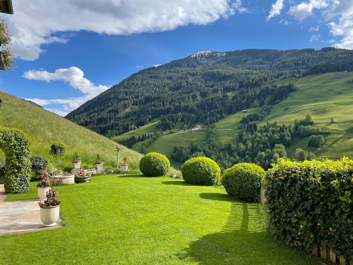 Mountain Panoramic Apartment