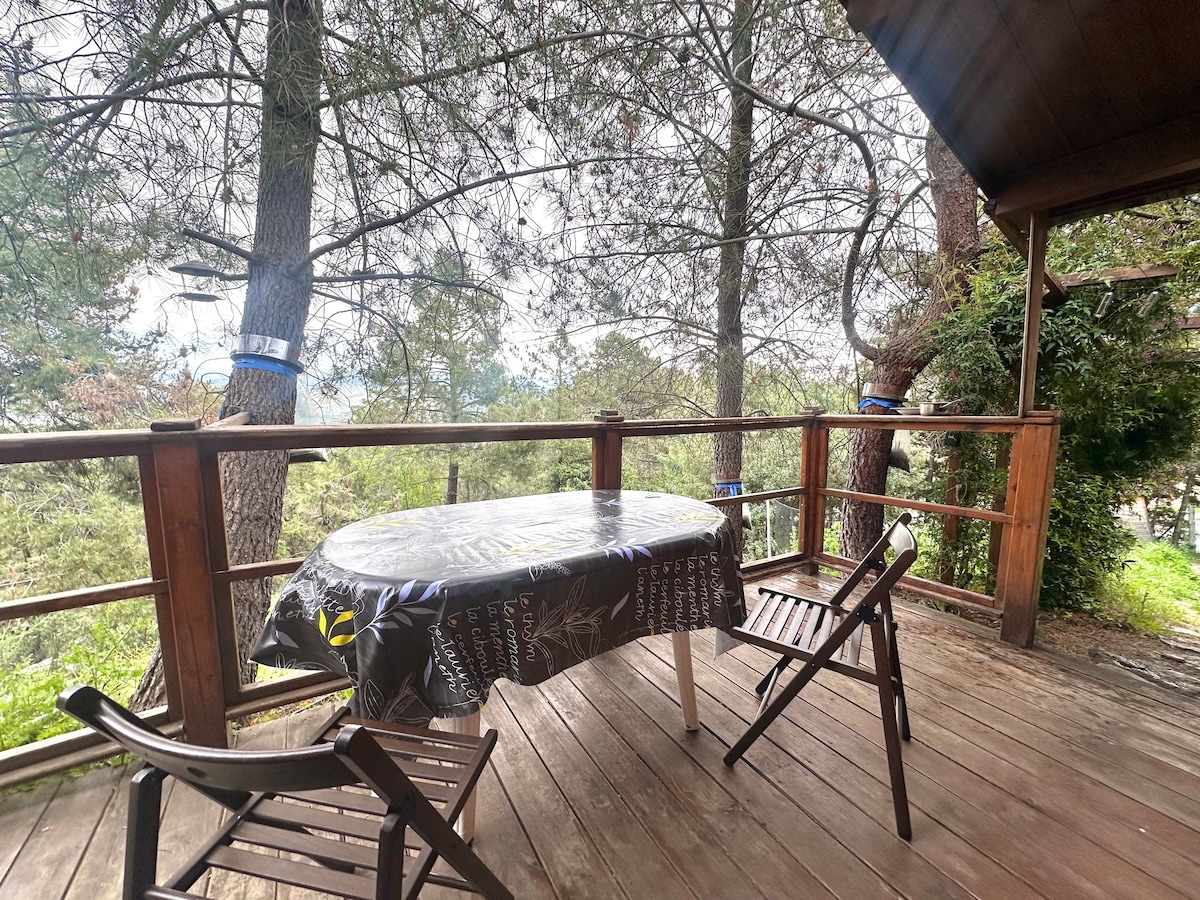 Cabaña ecológica de madera en la naturaleza