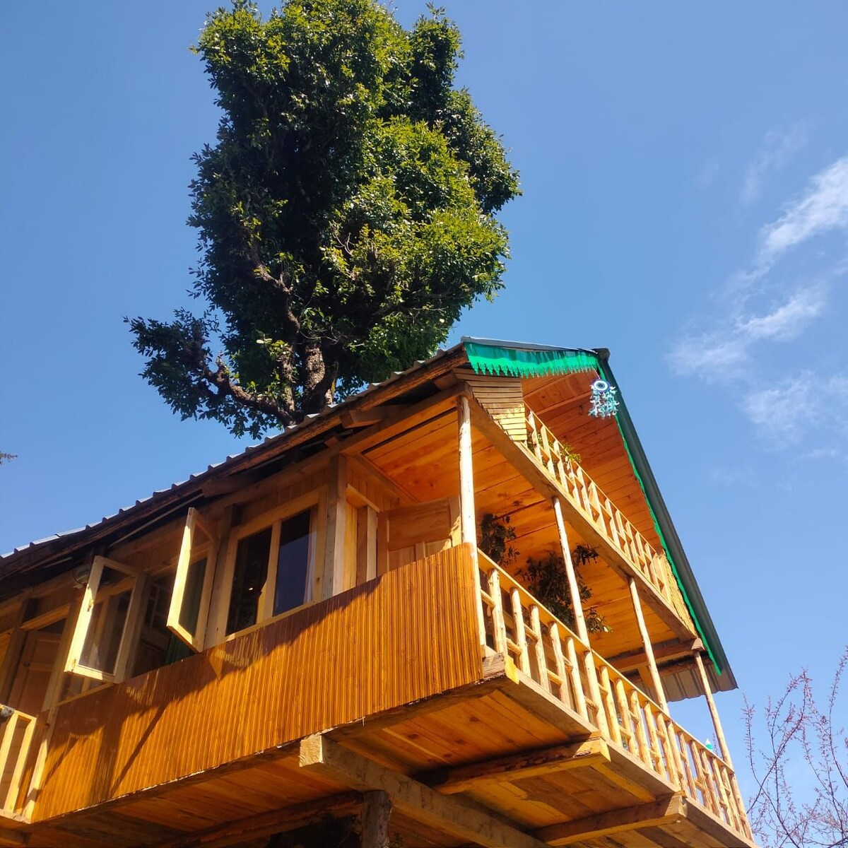 Mountain Paradise Tree House