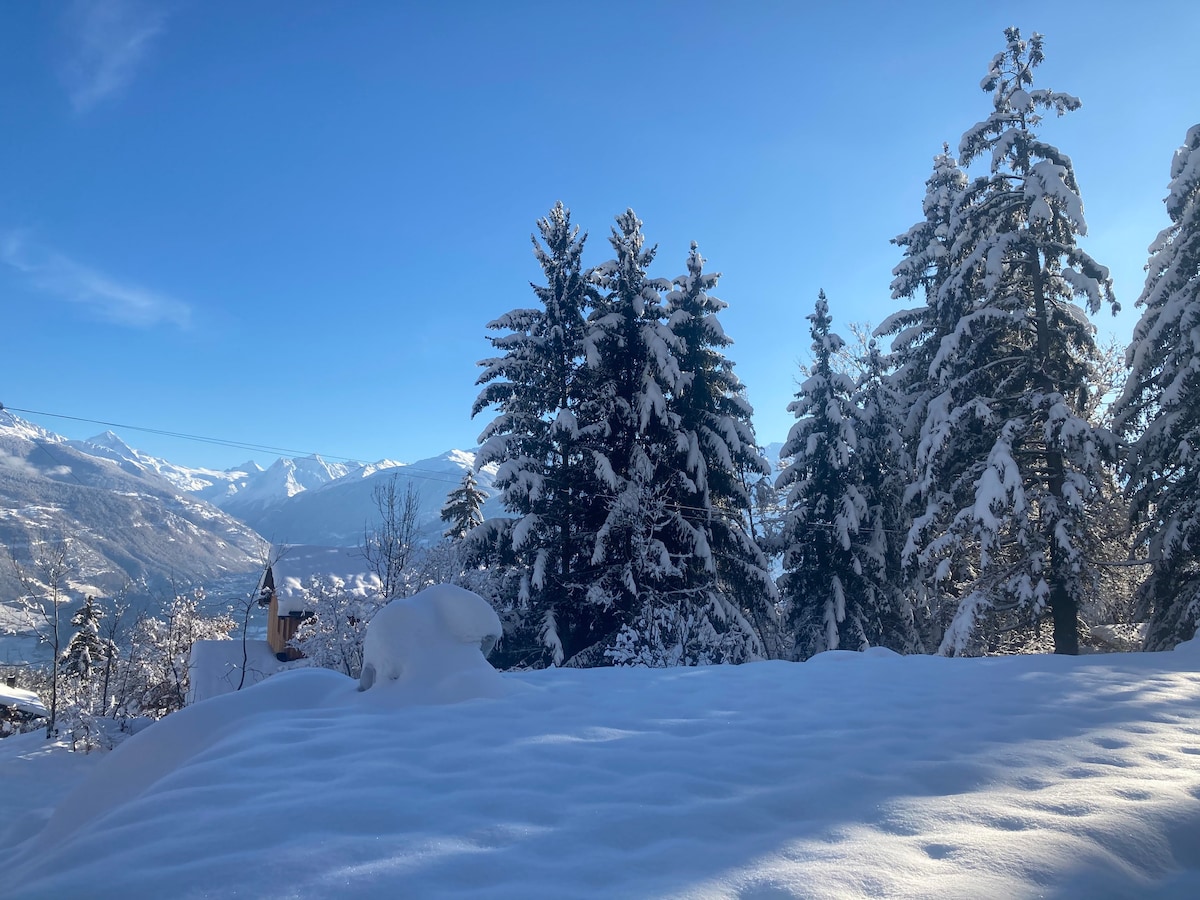 Appartement avec vue sur les alpes et sauna