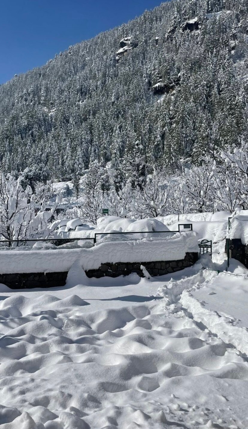 Skye Lodges Manali