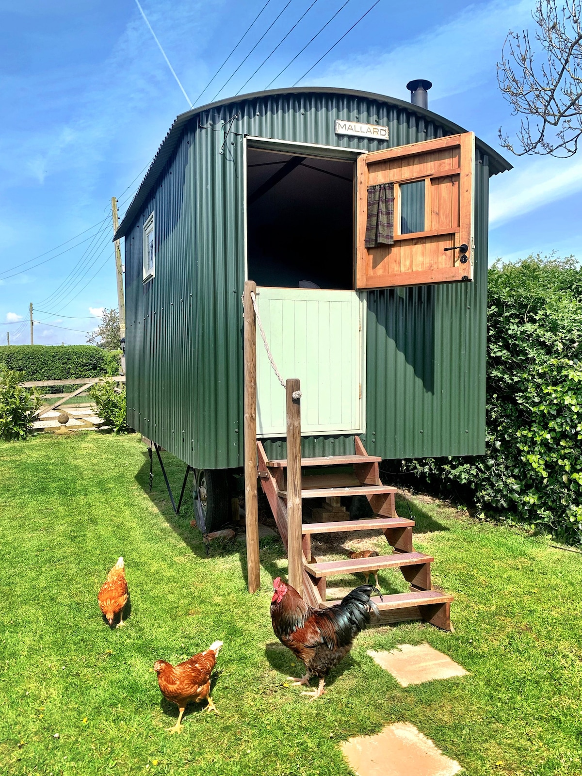 Cosy authentic Shepherds Hut, and all amenities.