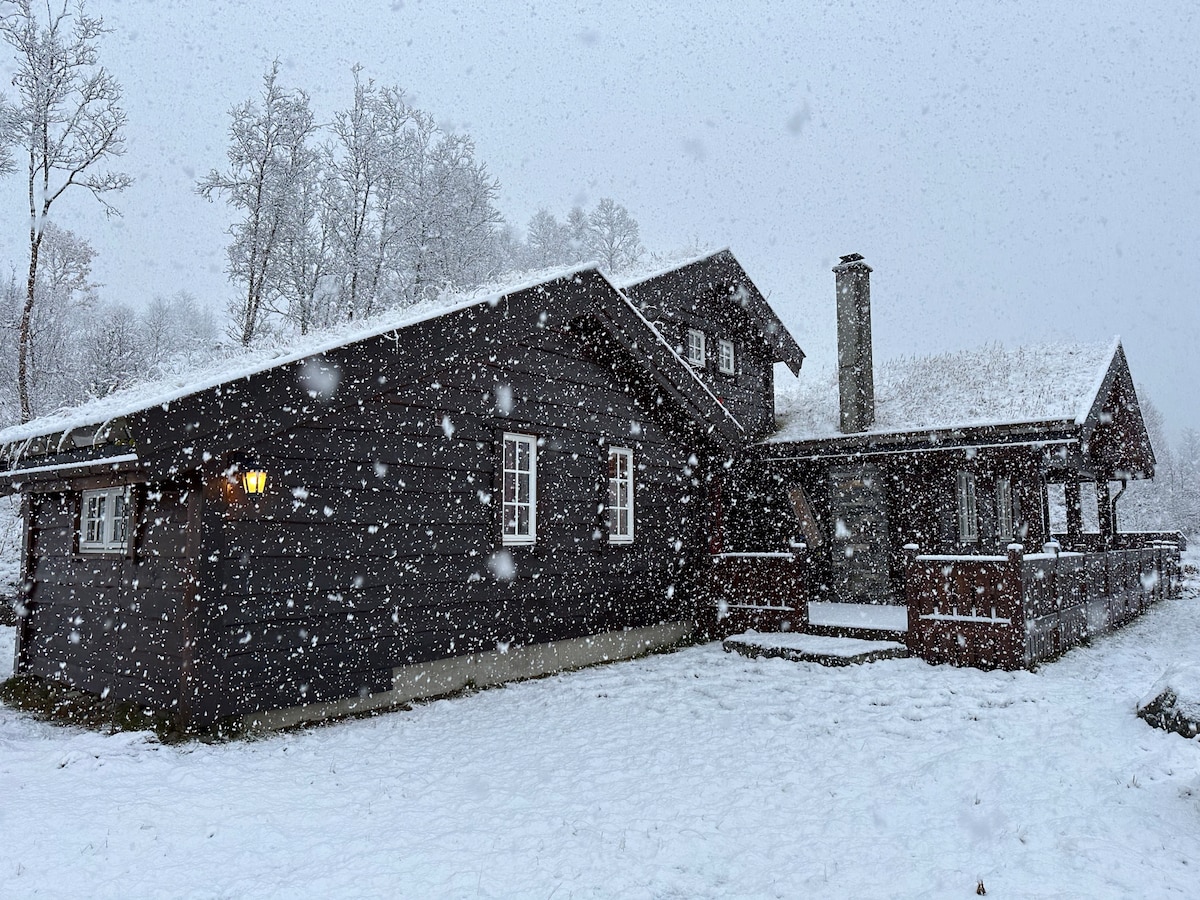 Hytte Filefjell/Borgund/Lærdal