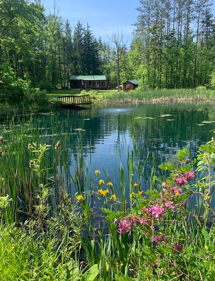 Cabin woods pond yet city & lake