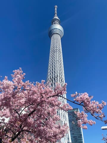 东京的民宿