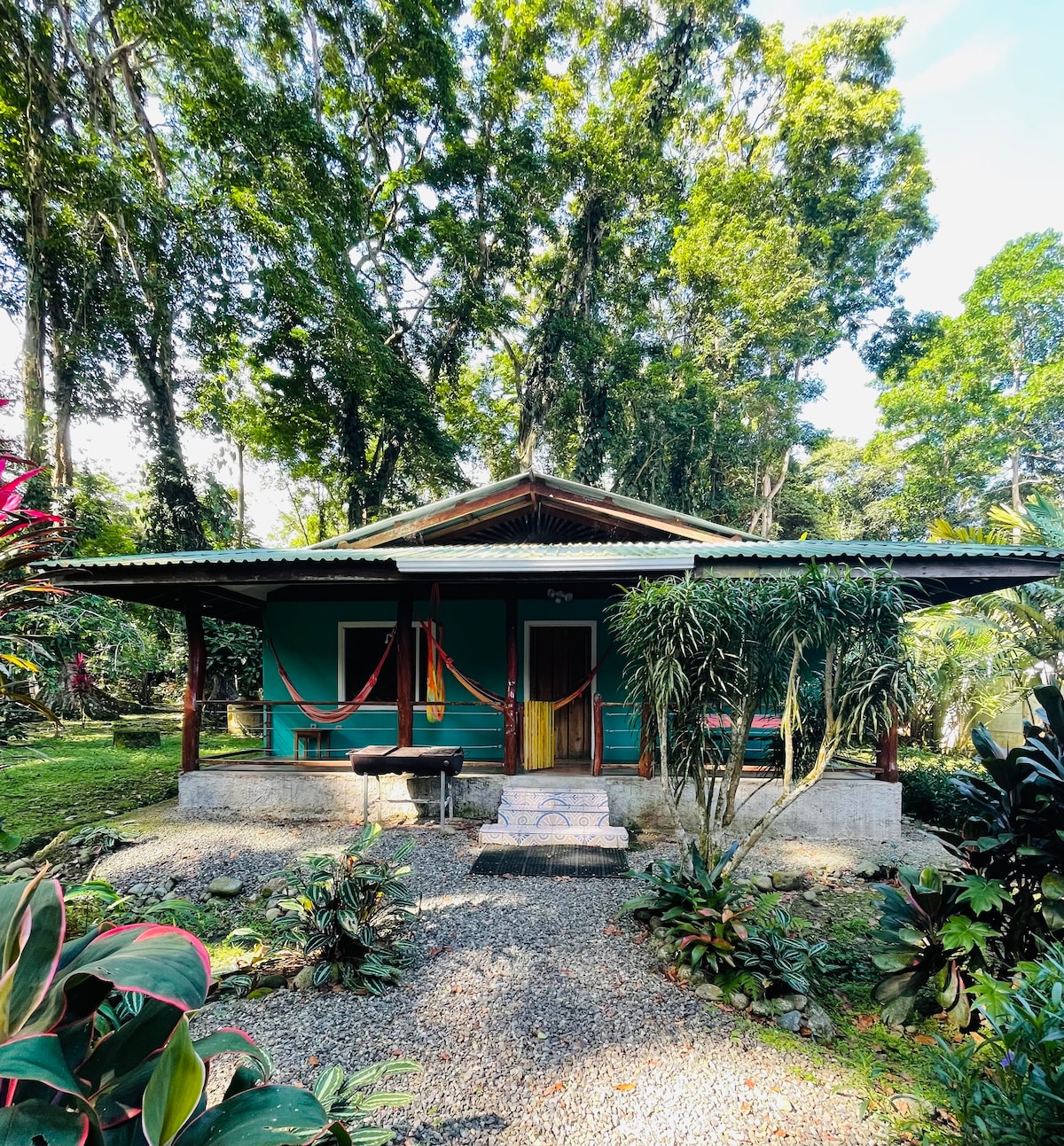 Ventana a la Jungla, (Casa Mono)