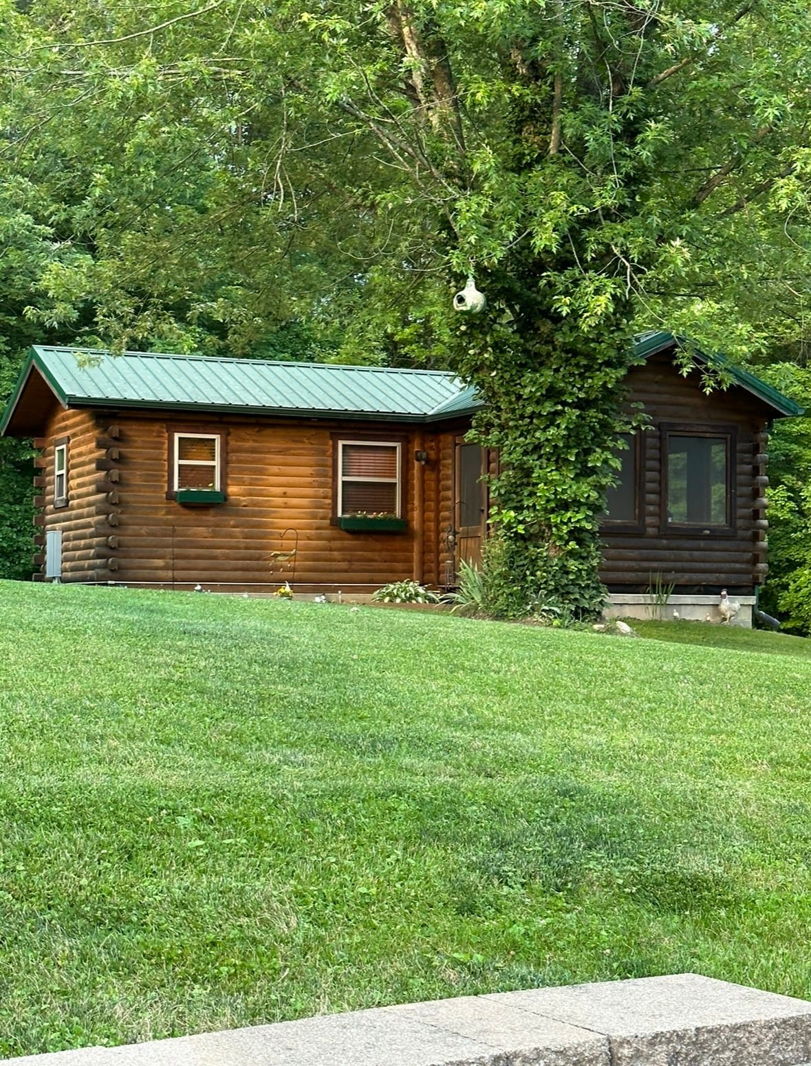 Country Cabin
