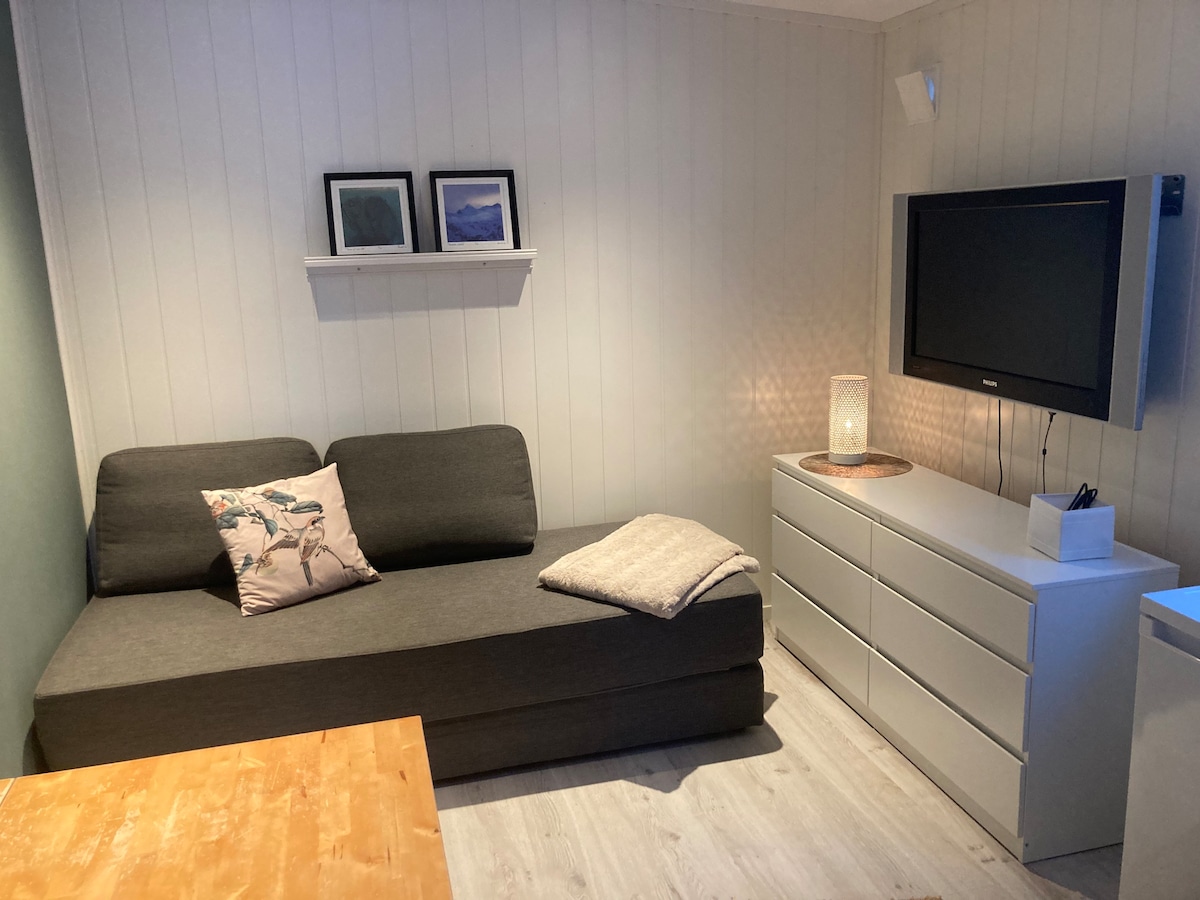 Nyere leilighet sentralt på Rørvik